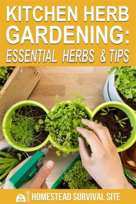  Kitchen Herb Gardening: A Culinary Adventure  Aromatic Delight and Practical Wisdom for Cultivating Edible Delights 